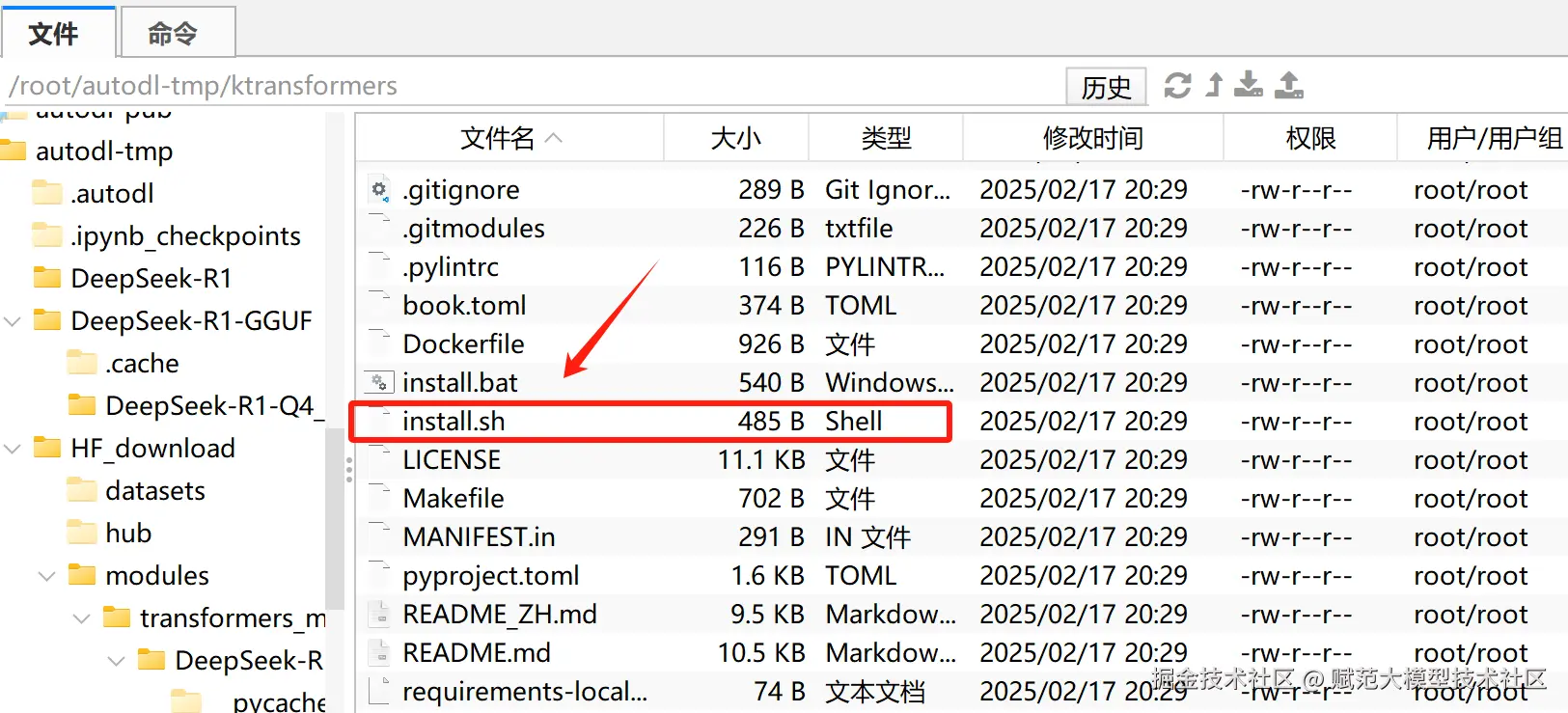 image-20250218184503867