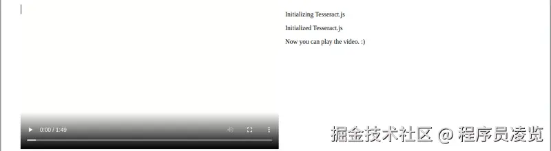 video-demo.gif