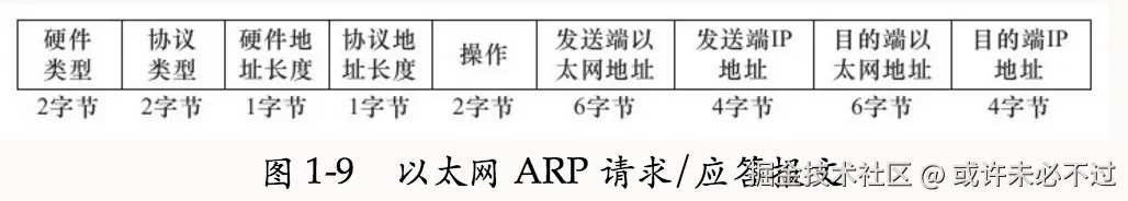 arp-datagram.png