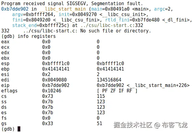 图 11.17 – 预期的段错误后的内存检查