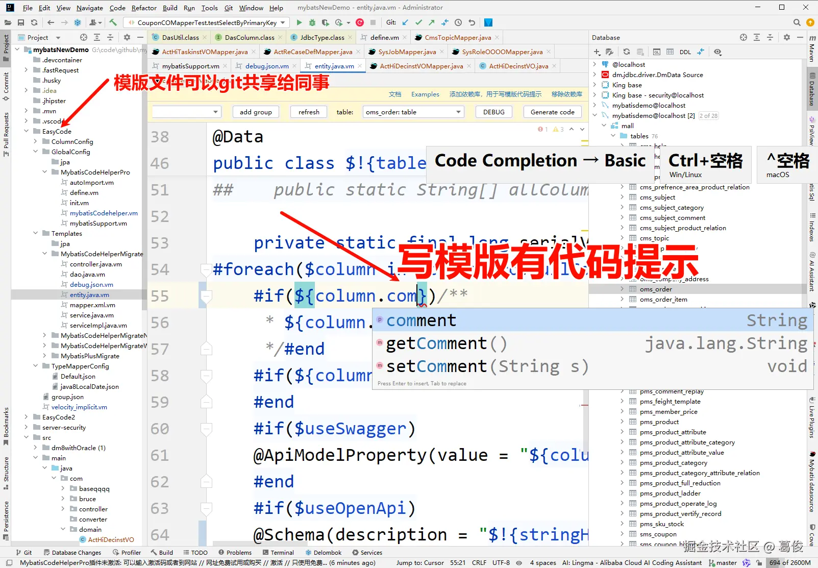 EasyCodePlus4模板共享和代码提示.png