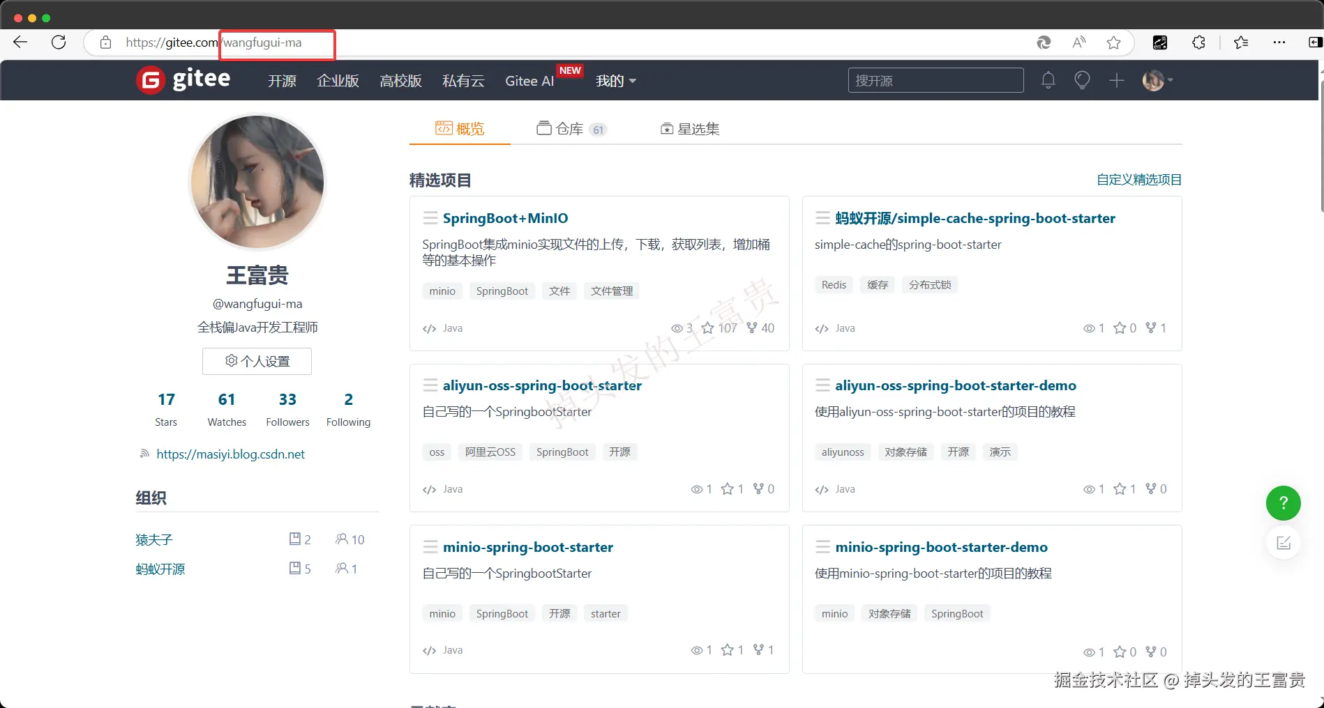 image-20241110145038236