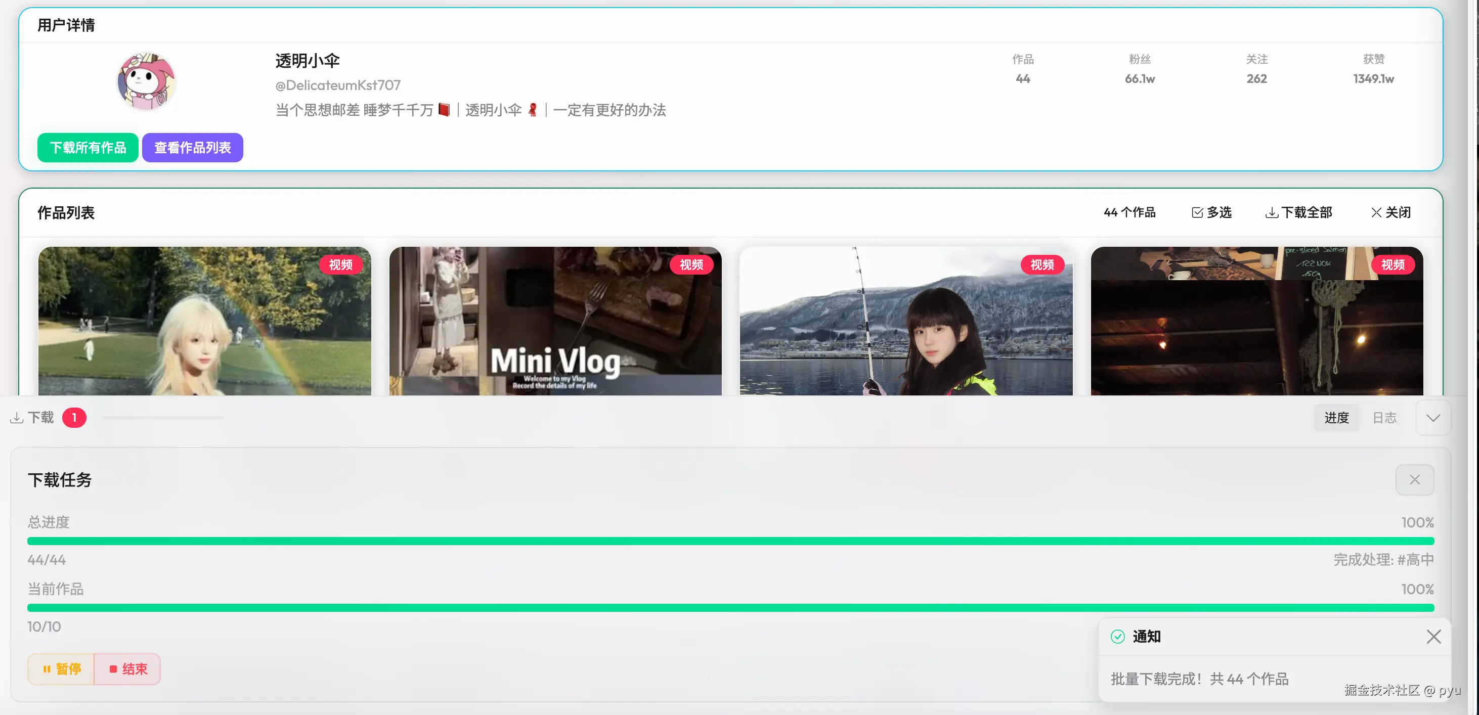 DY Video Downloader 下载监控