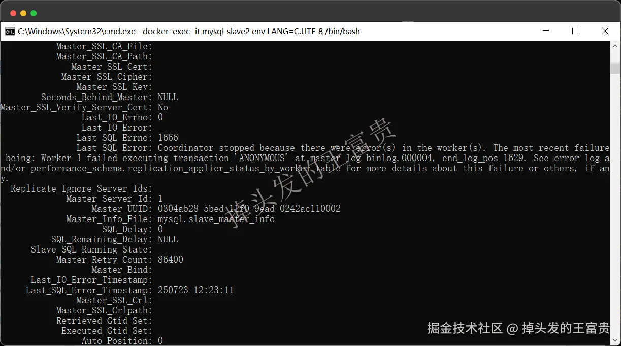 image-20250723203107074