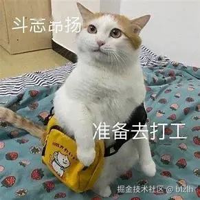 56556.jpg