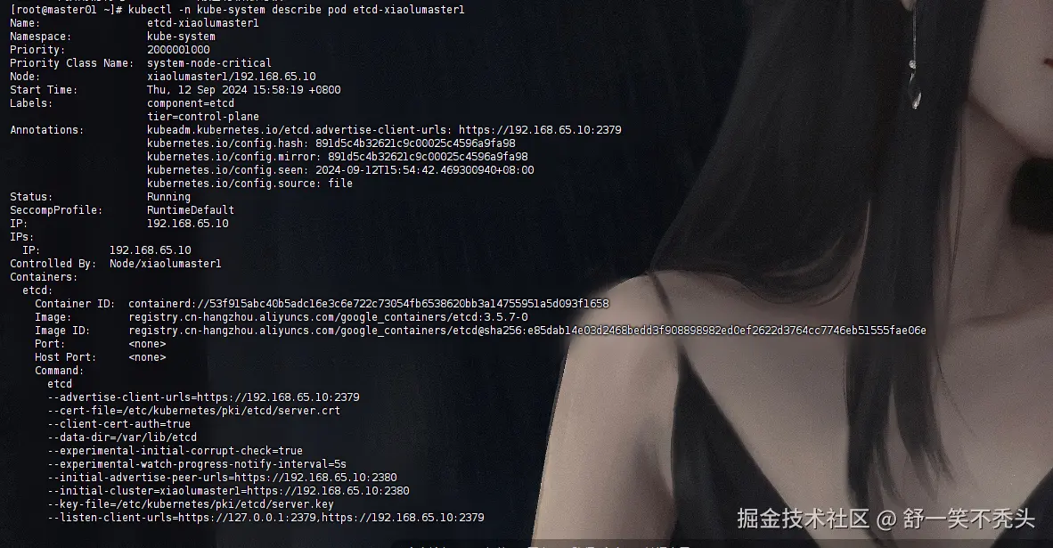 image-20240913091104803