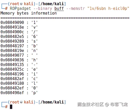 图 11.15 – 每个字节的内存位置