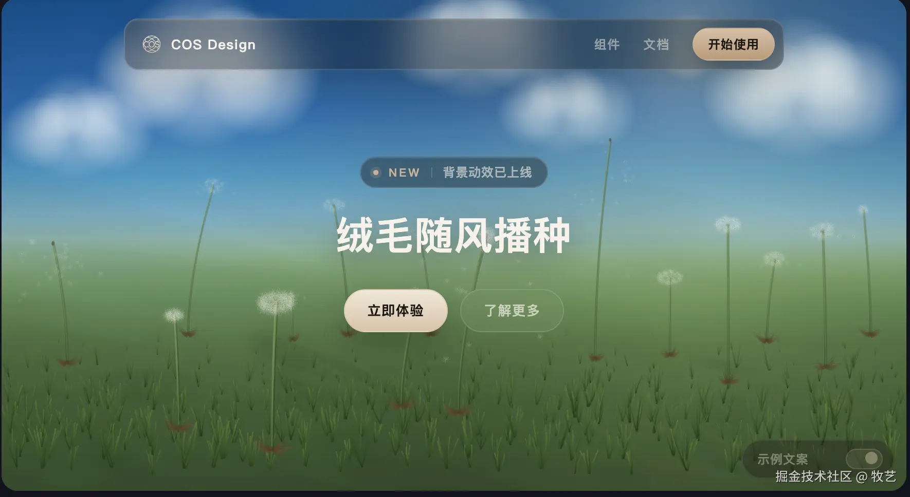 DandelionField 成熟态 — 多株绒球静立草坡