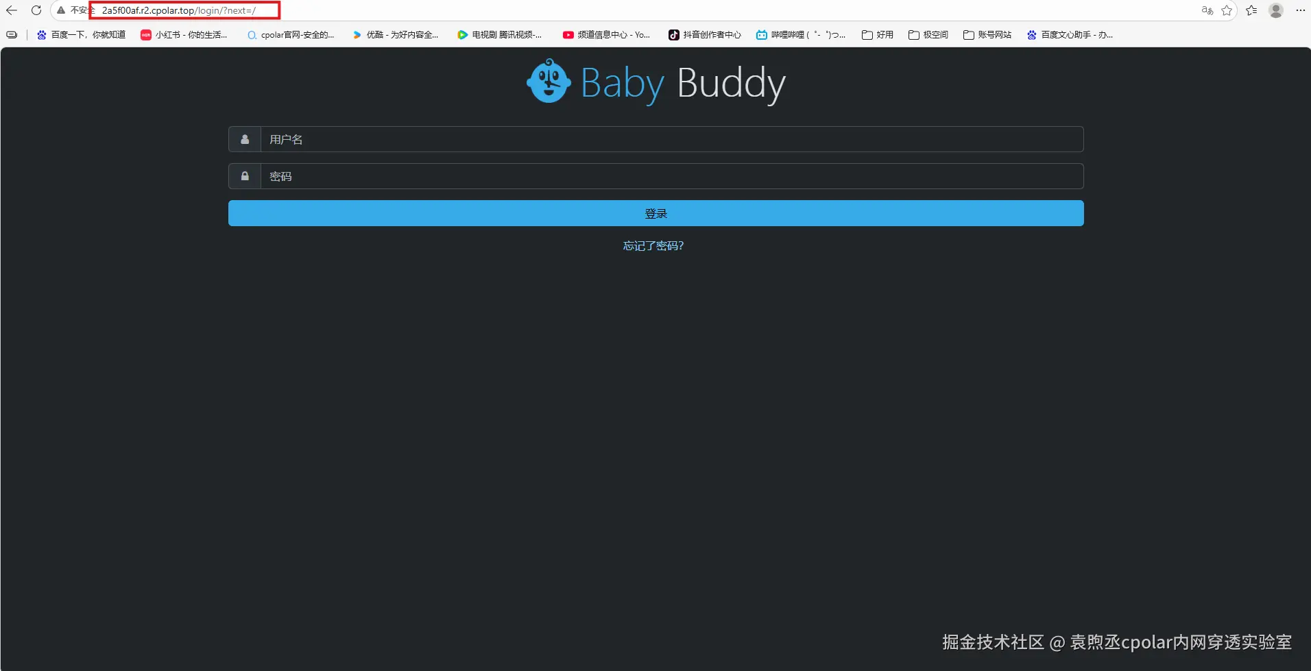 image-20260304113902106