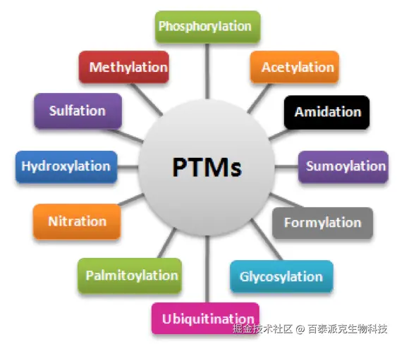 20221219-1855-蛋白质翻译后修饰种类.png