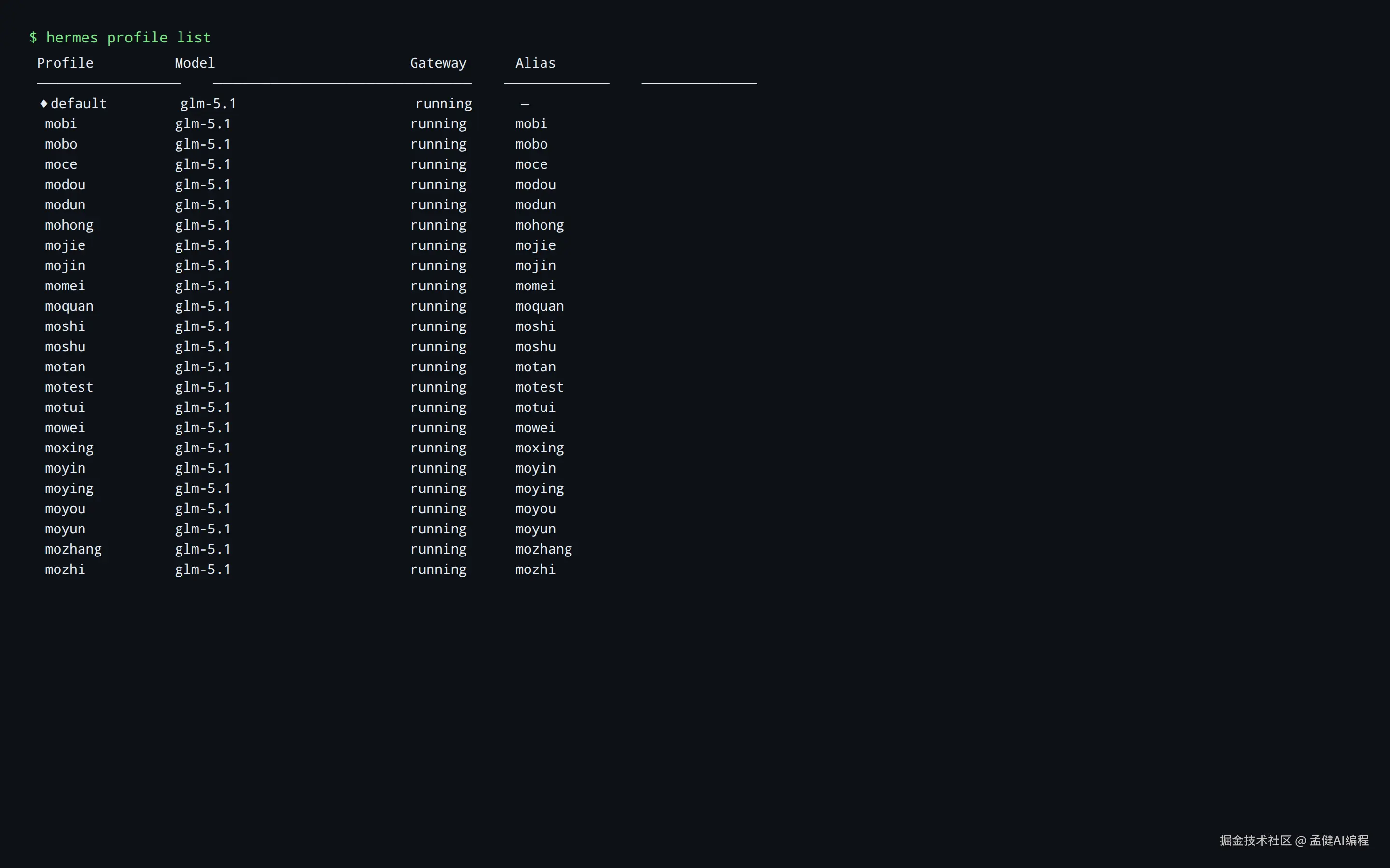 Hermes里24个profile全部跑在glm-5.1