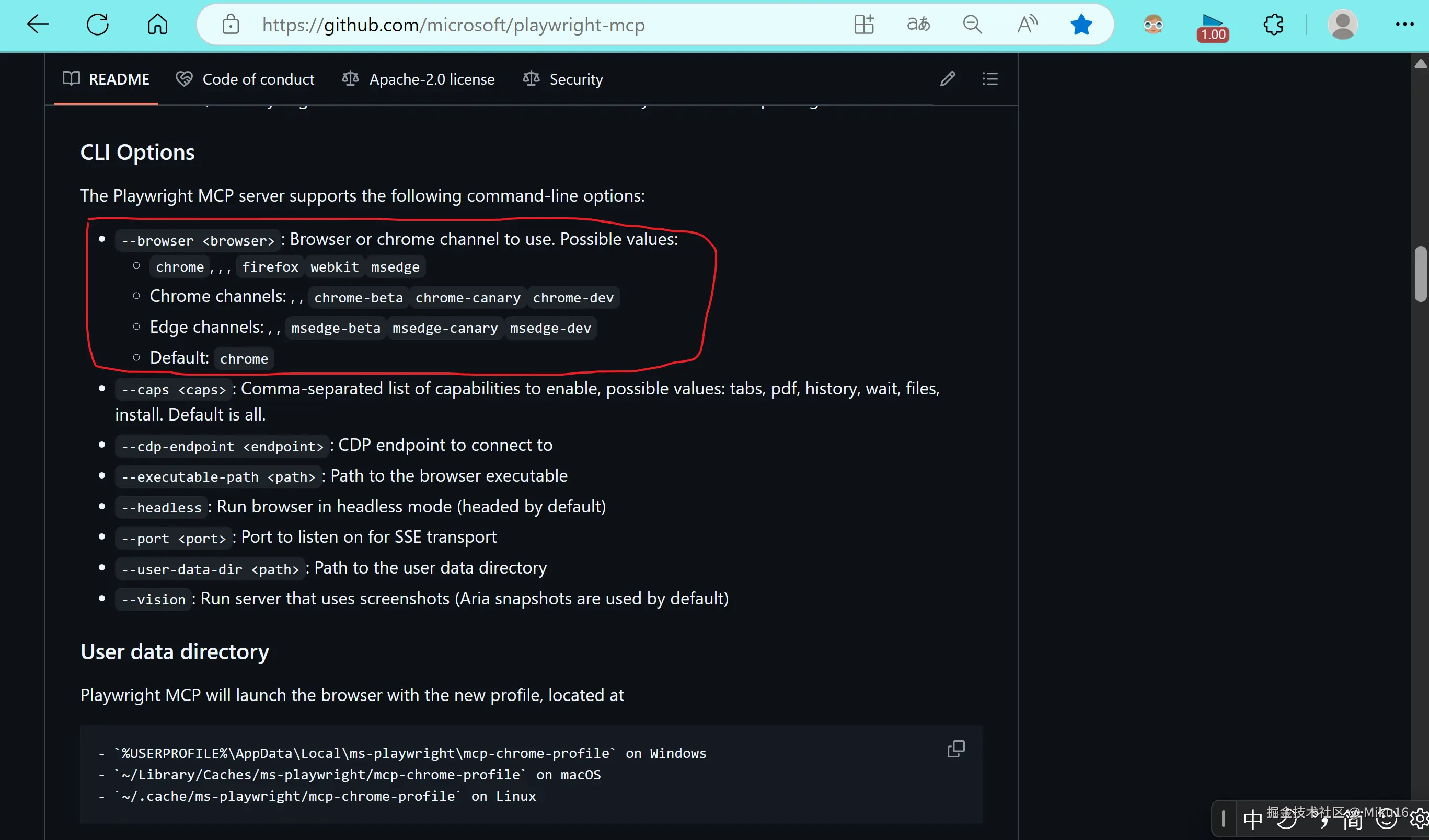 image-20250420071342679