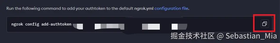 Ngrok身份令牌.png