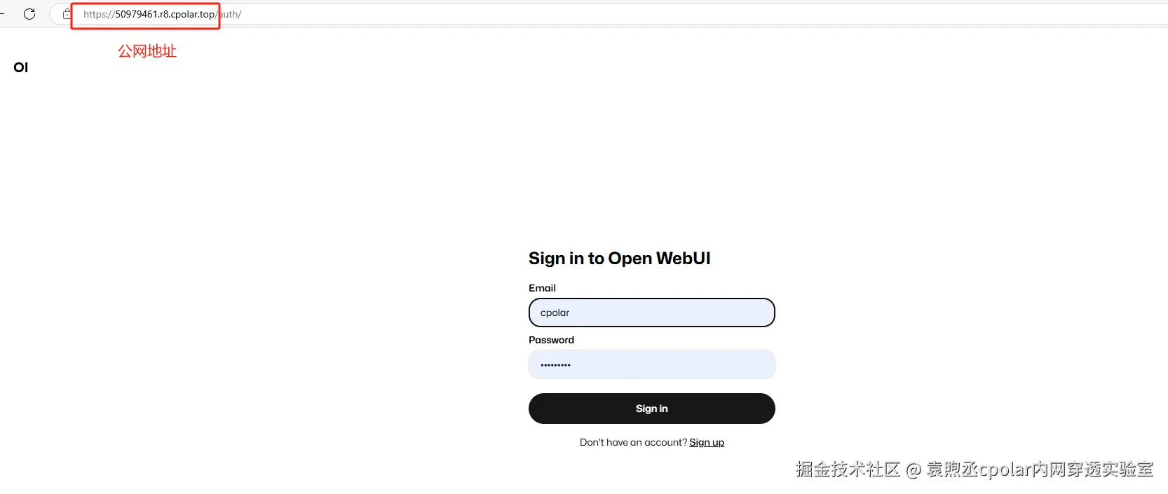 image-20250205164201330