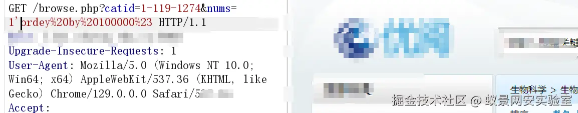 image-20241001012641128