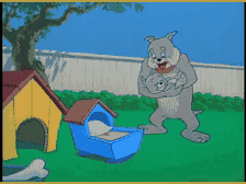 Colder_于2025-09-10 16:05发布的图片