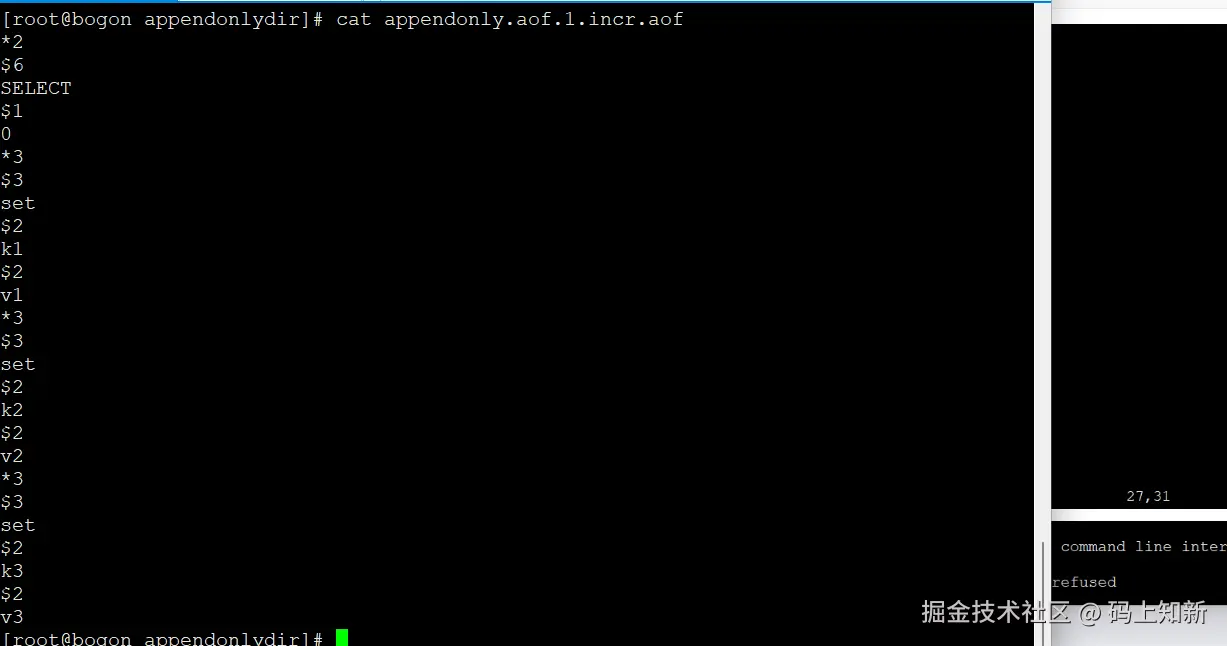 image-20240427223019873