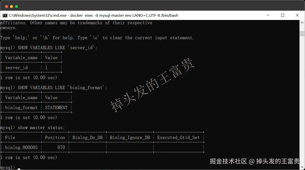 image-20250723204139781