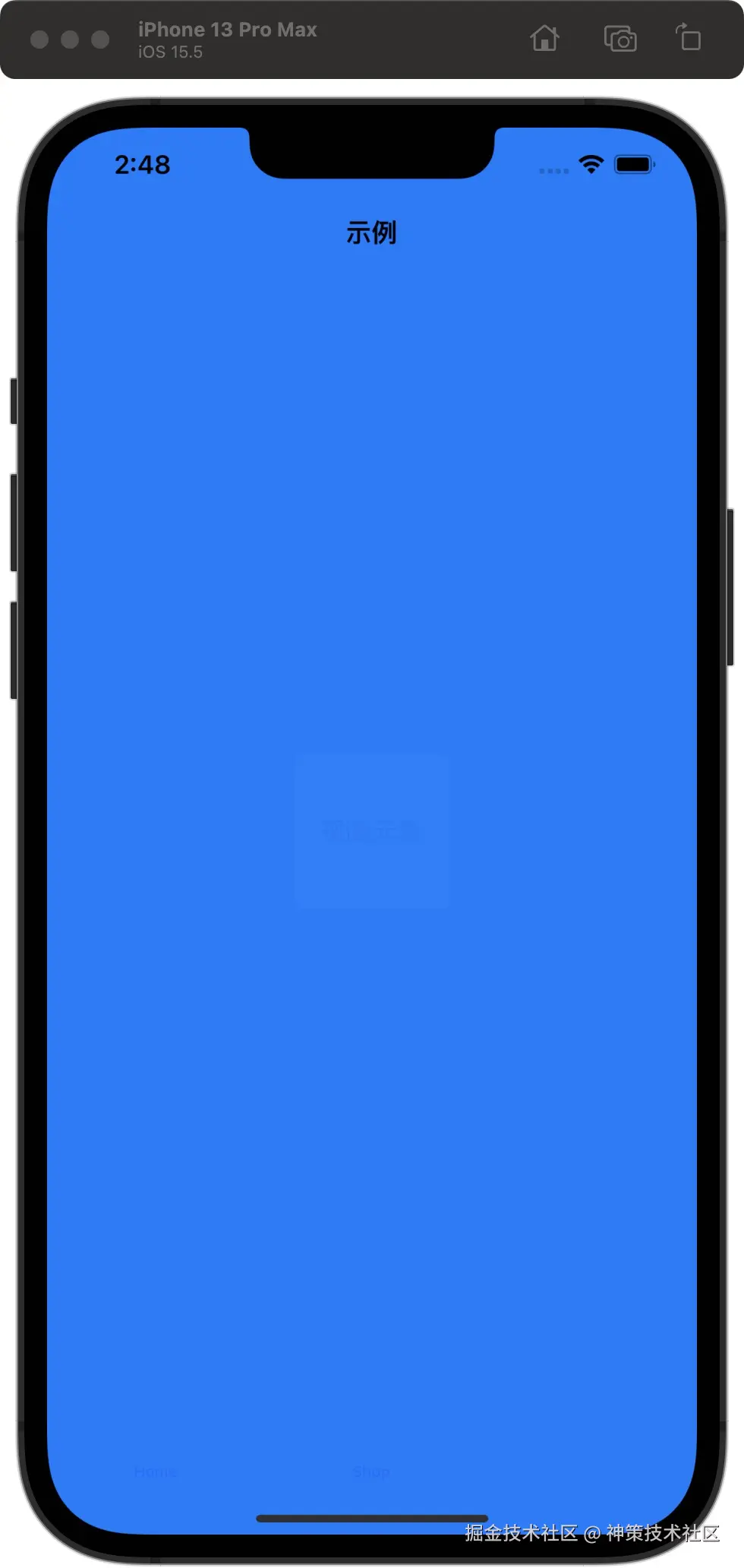visable_1