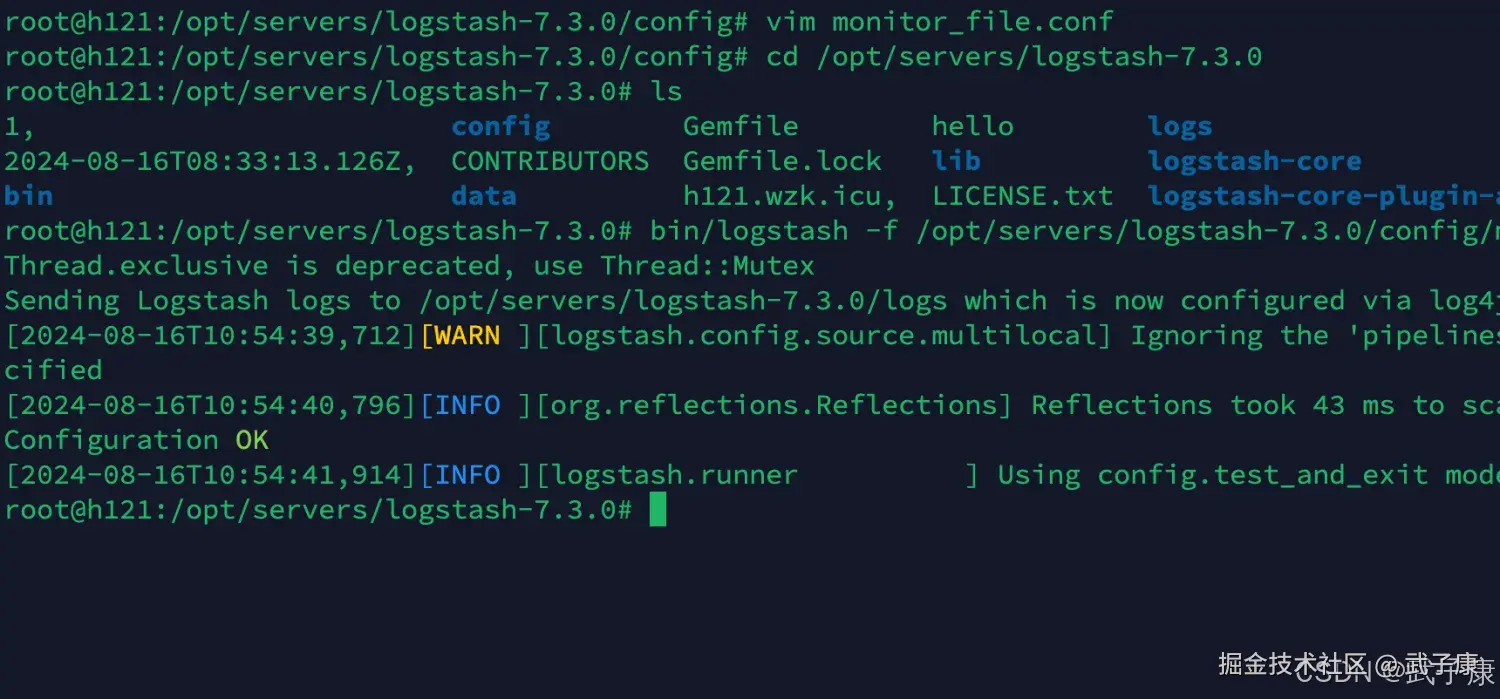 Logstash 检查配置