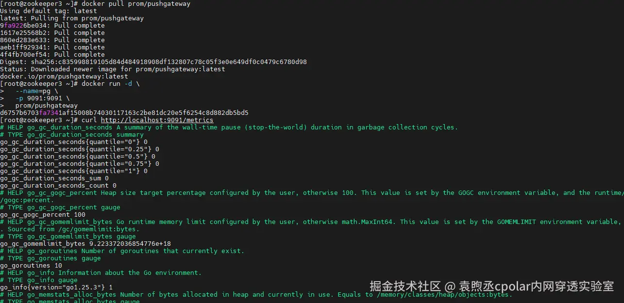 image-20260129150152620