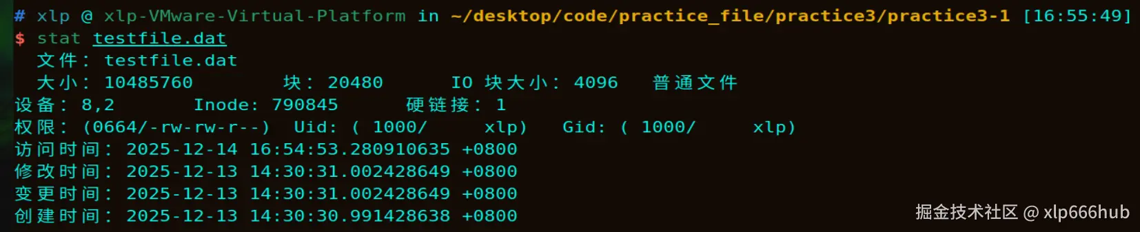 14. testfile信息.png