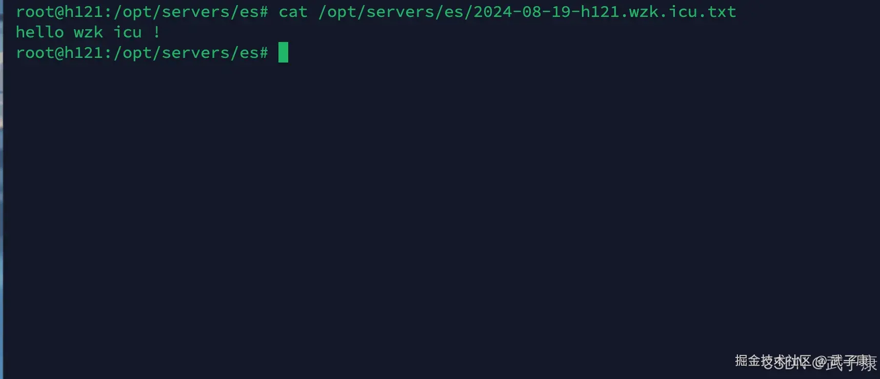 Logstash 查看内容