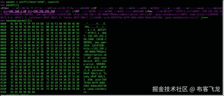 使用 Scapy 进行数据包嗅探