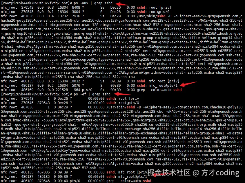 image-20231231094218288