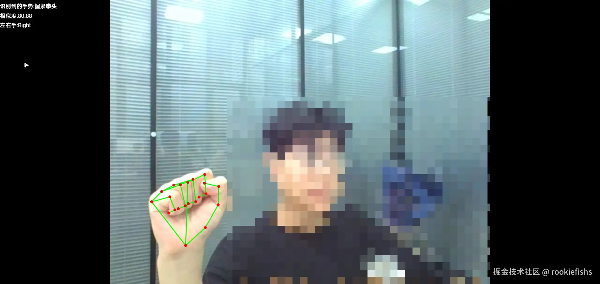 手势检测与识别效果图展示