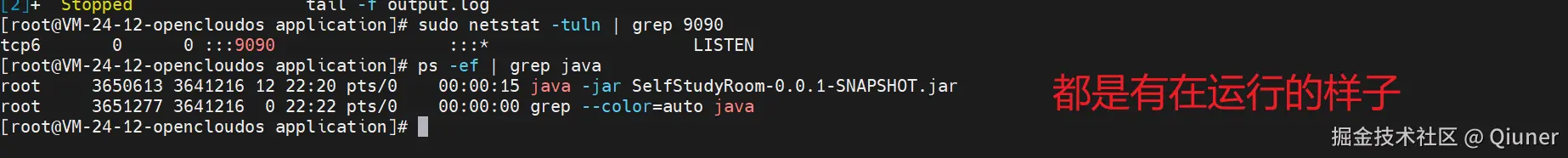 image-20240901222238436