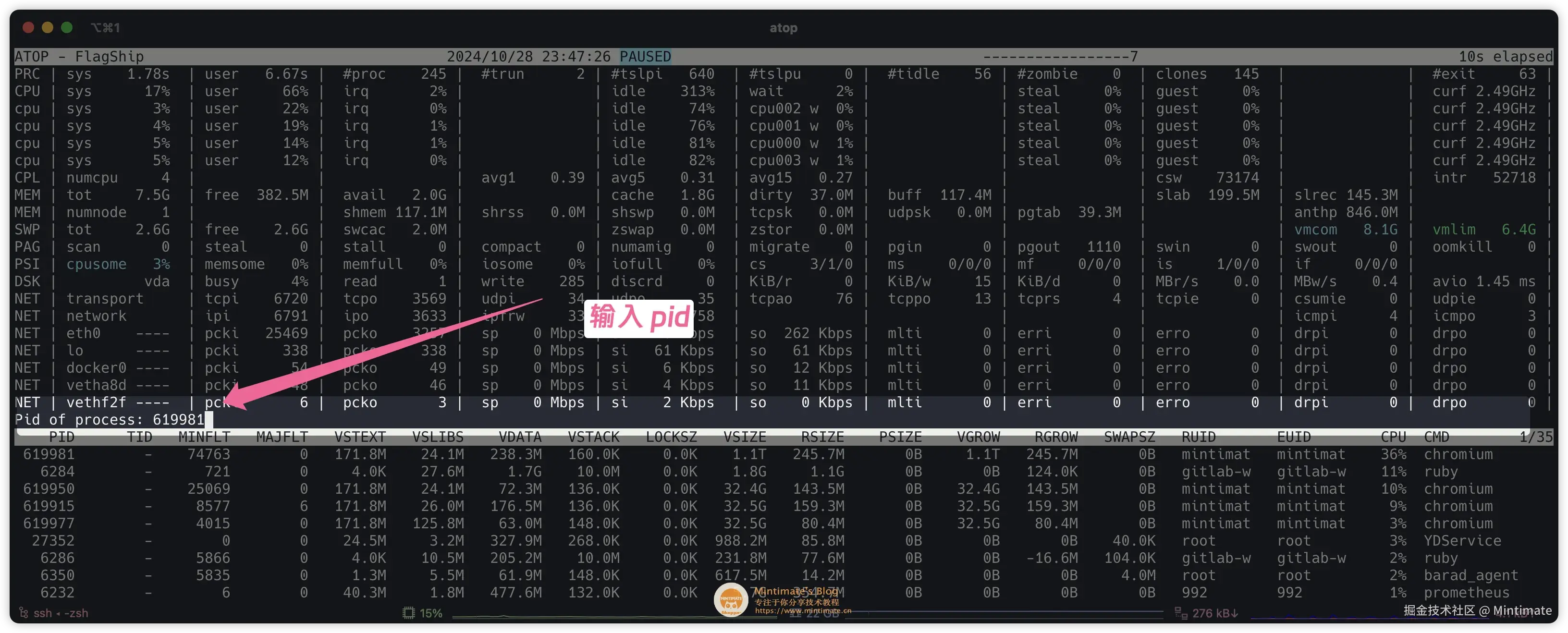 输入目标进程