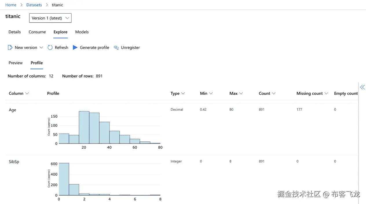 图 4.9 – 带有数据概要的数据集