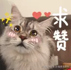 屏幕截图 2025-01-01 124104.png