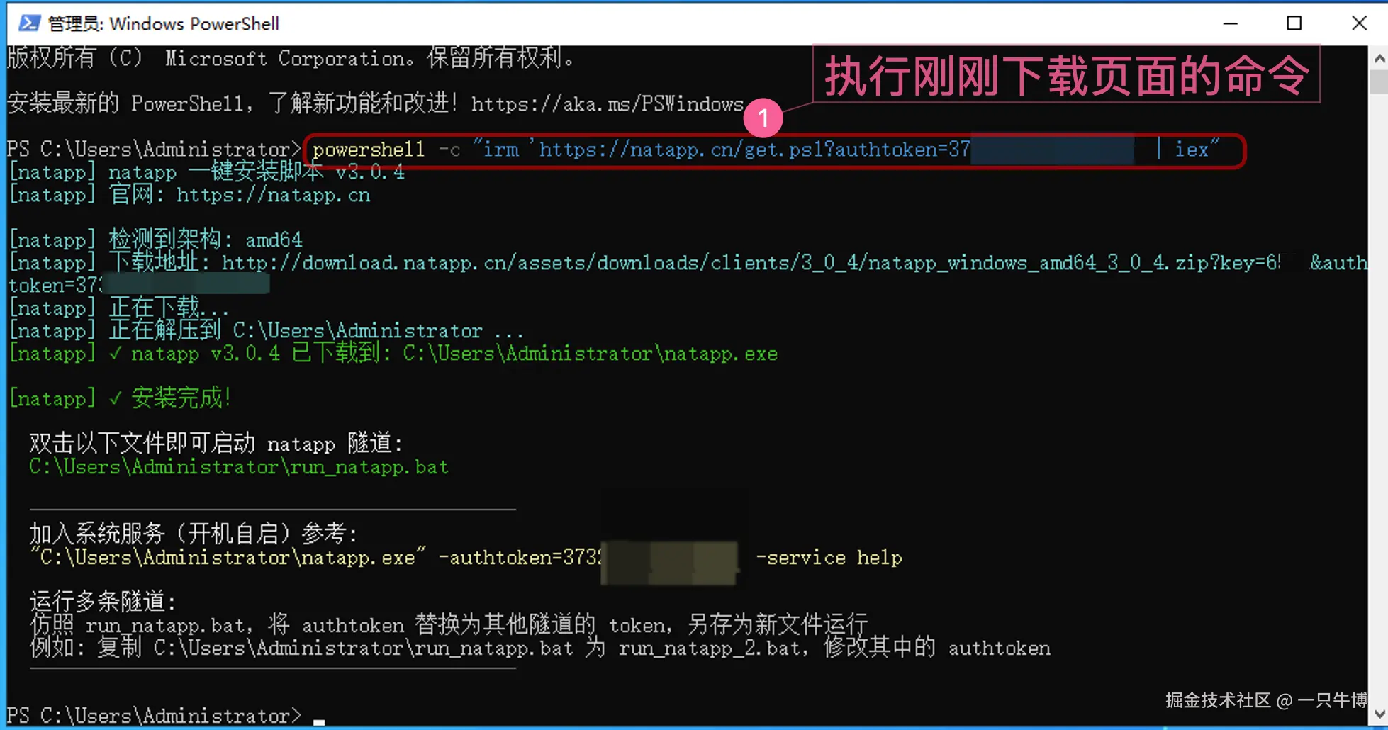 Download and run the Natapp client on the office computer