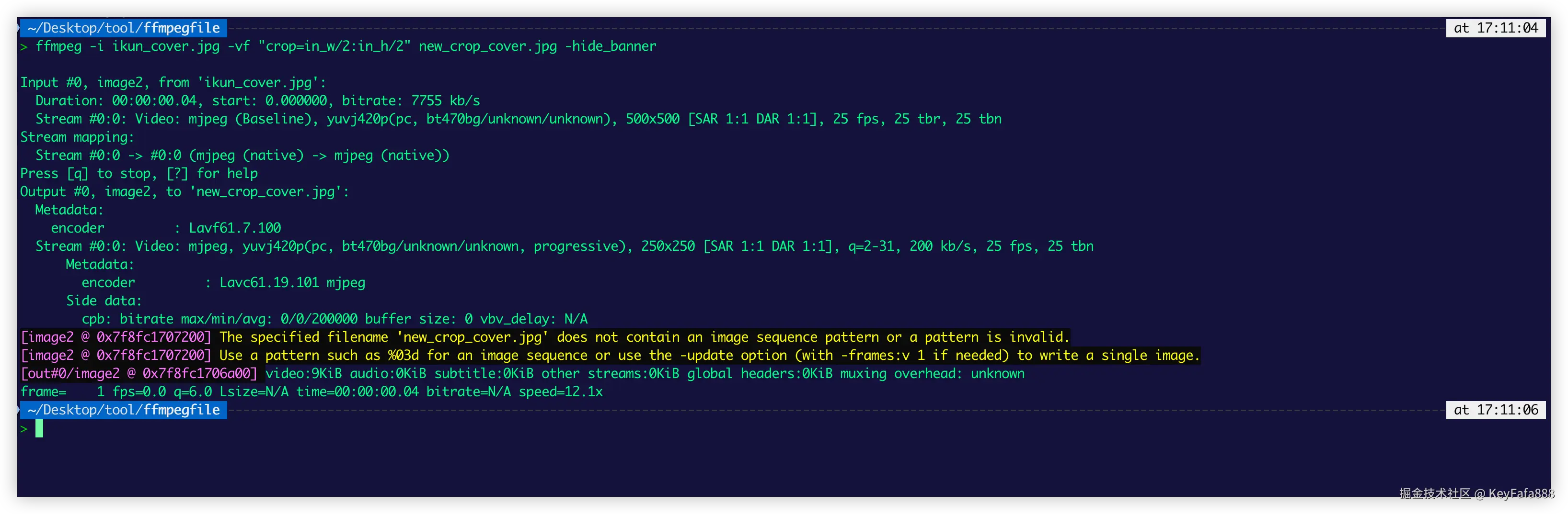 裁剪中心区域，大小为原图片分辨率的 1/2