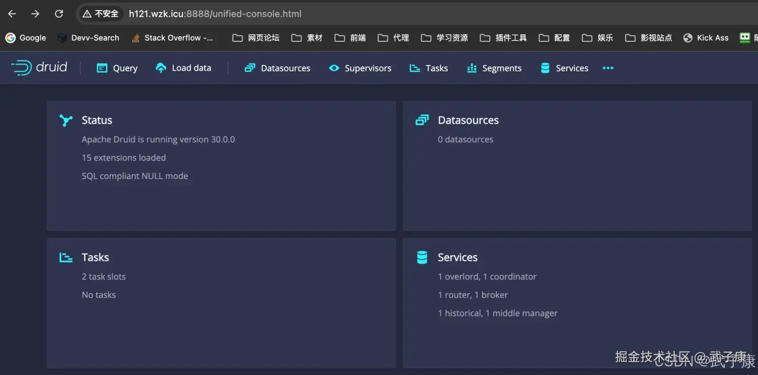 访问 Druid 的服务