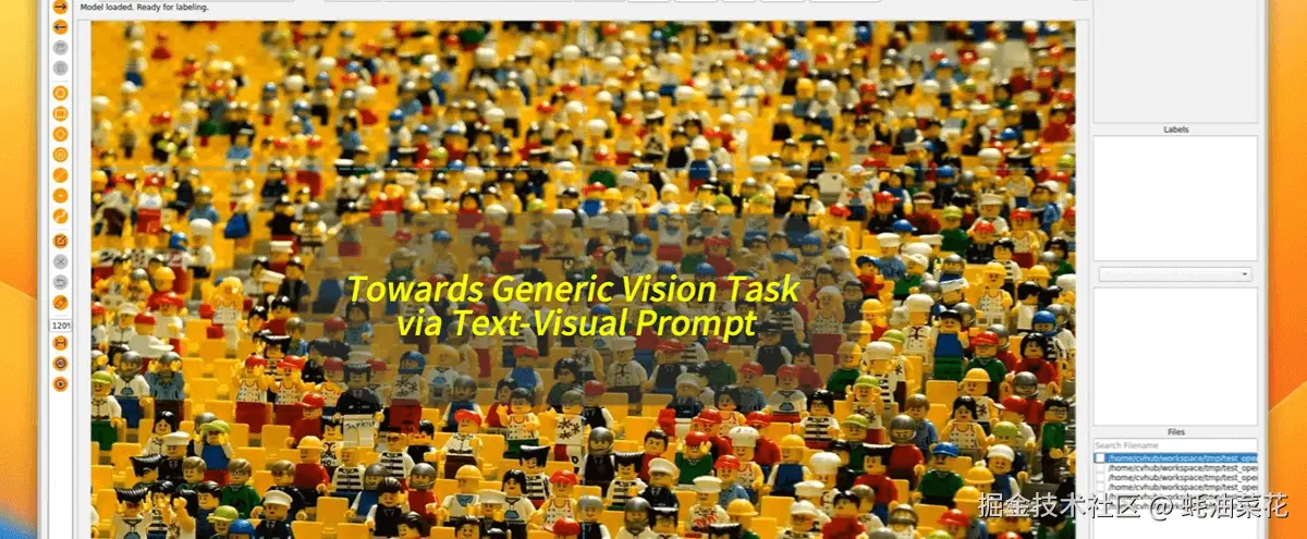 公众号: 蚝油菜花 - X-AnyLabeling