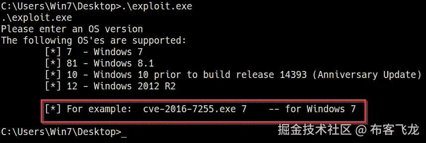图 5.19 – 漏洞选项