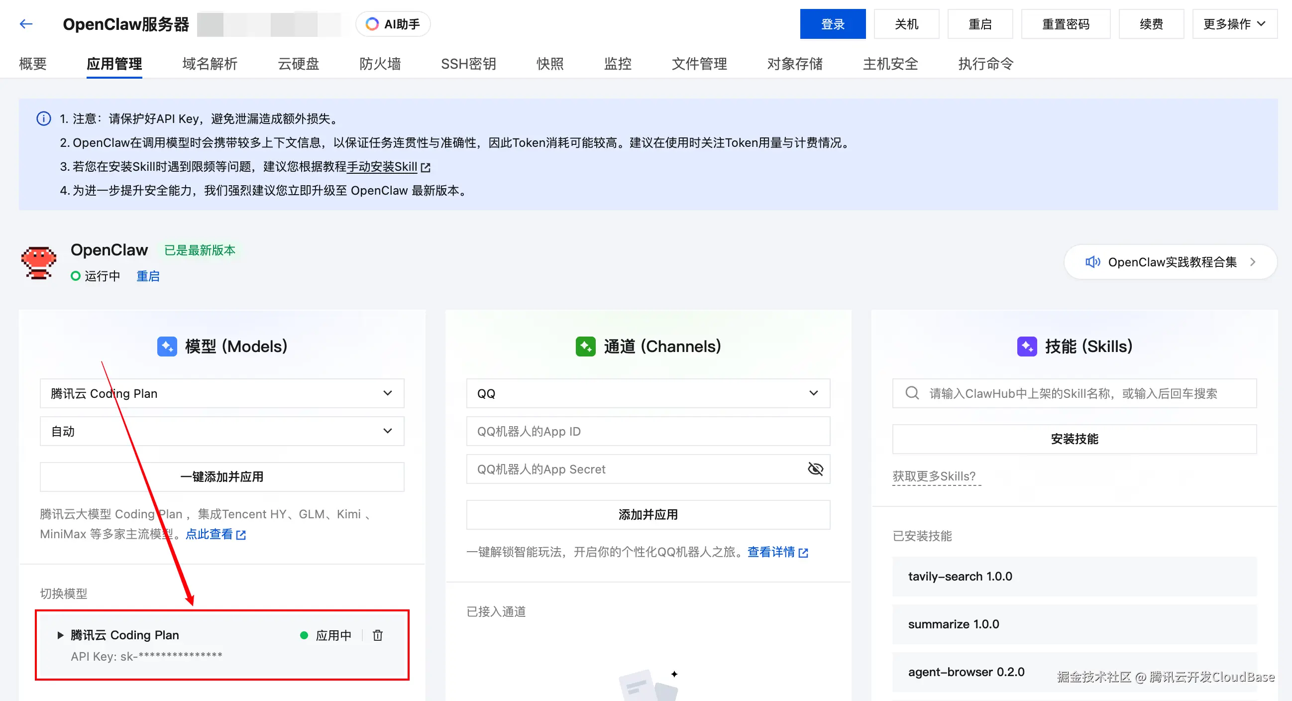 API Key 粘贴配置