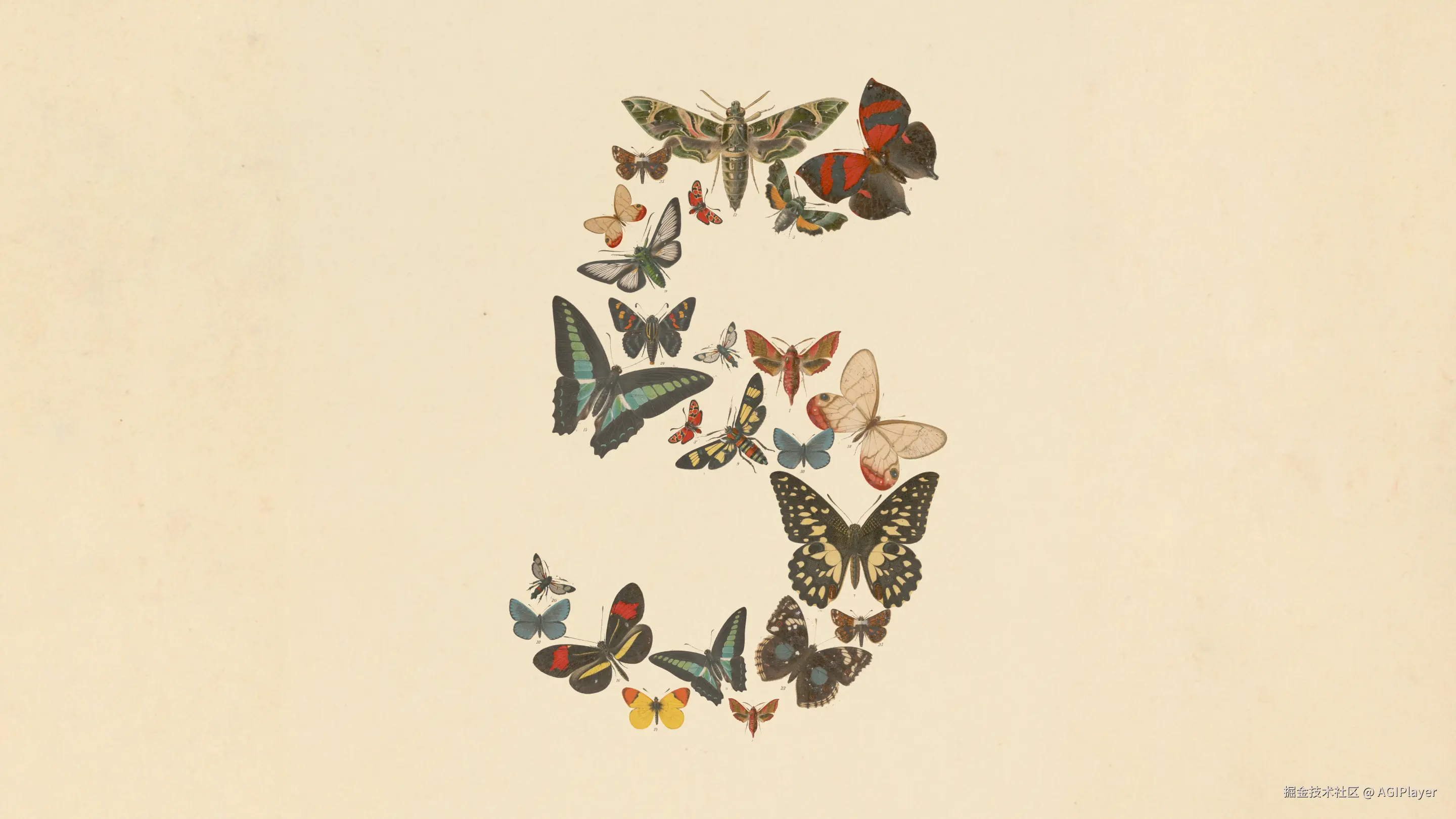 Claude Fable 5 官方主视觉图——蝴蝶组成的"5"
