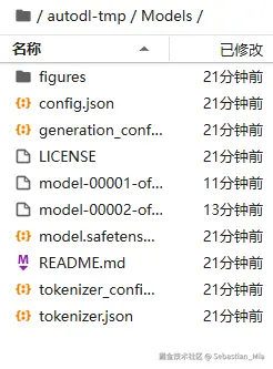 大模型文件.png