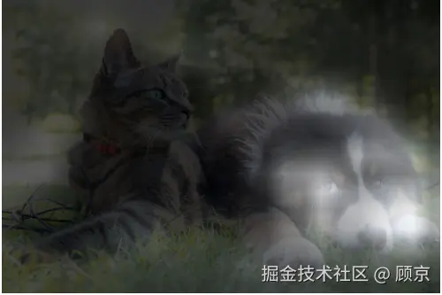 pic7 Grad-CAM on dog and cat.png