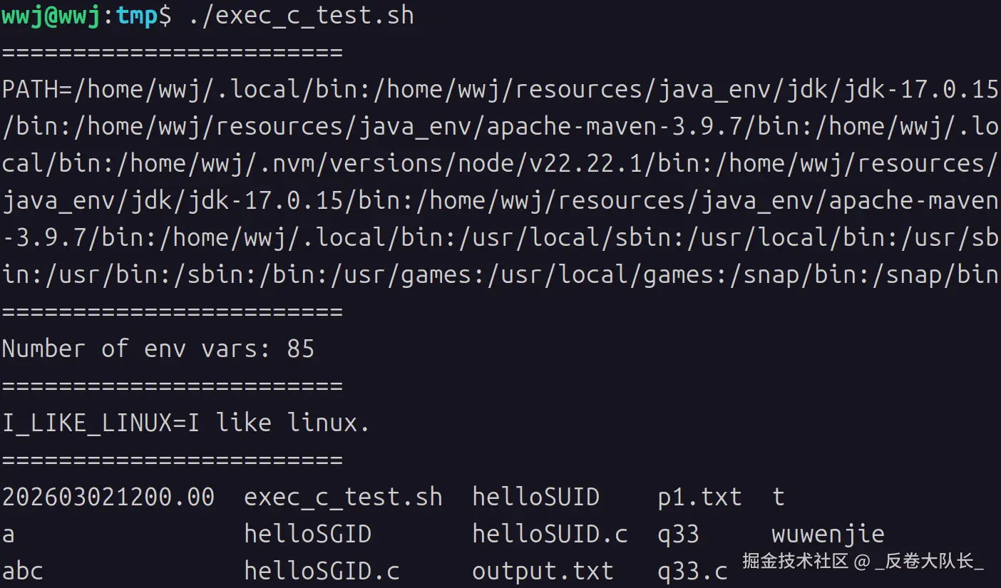 image-20260411113140387