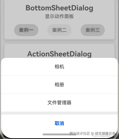 BottomSheetDialog