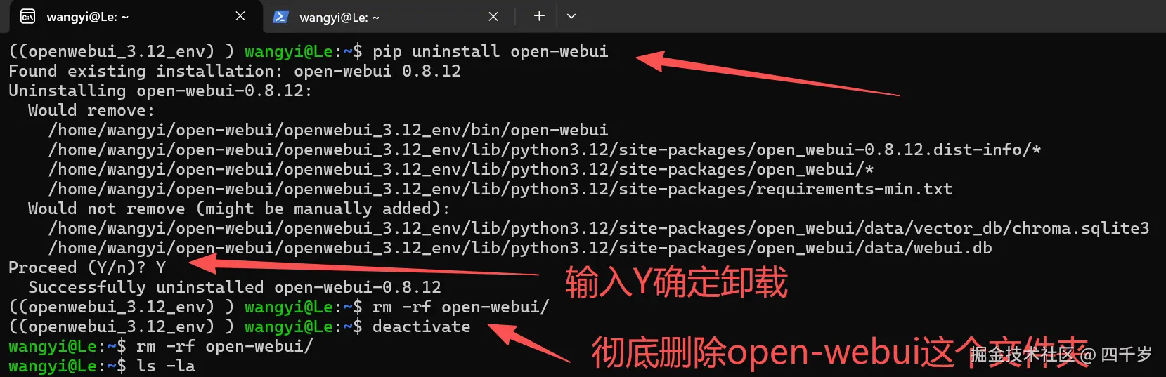 卸载OpenWebUI