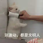 1735979239926.png