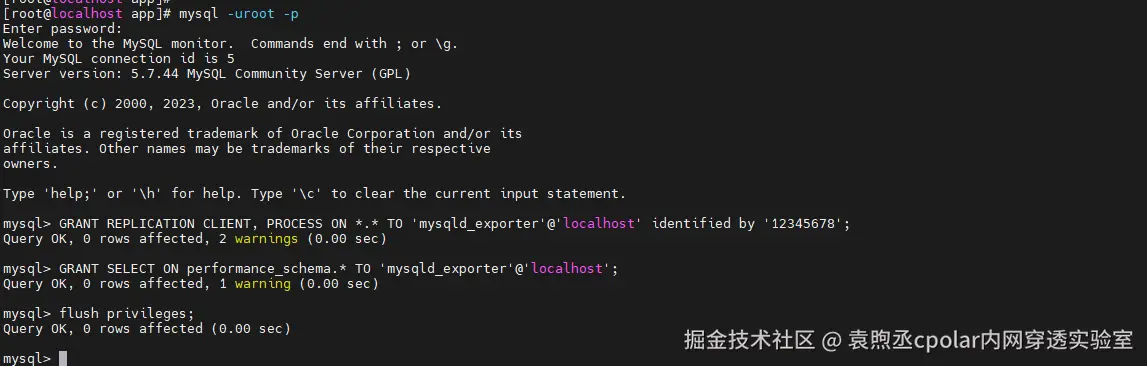 image-20251124173648818