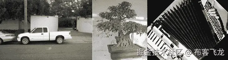 图 12.1 – Caltech 101 样本图像