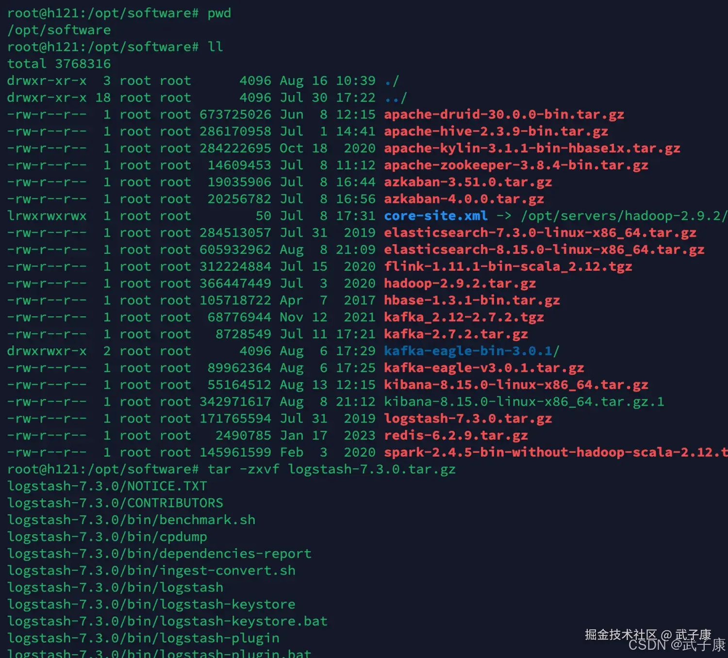 Logstash 解压项目